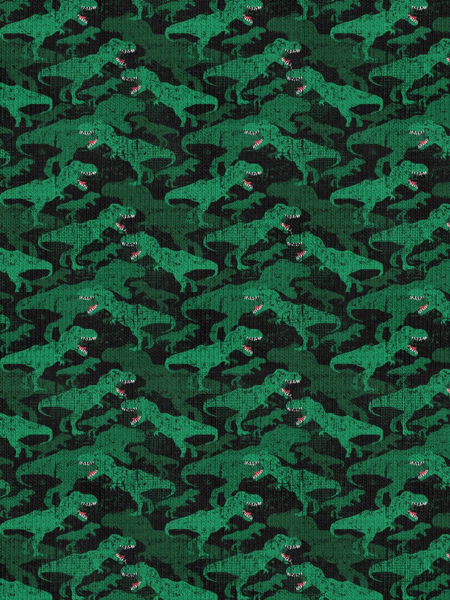 Dinosaur T-Shirts