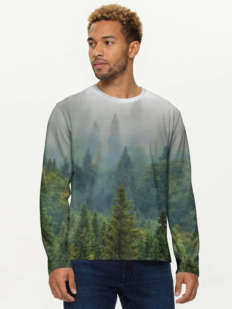 Misty Evergreen Forest