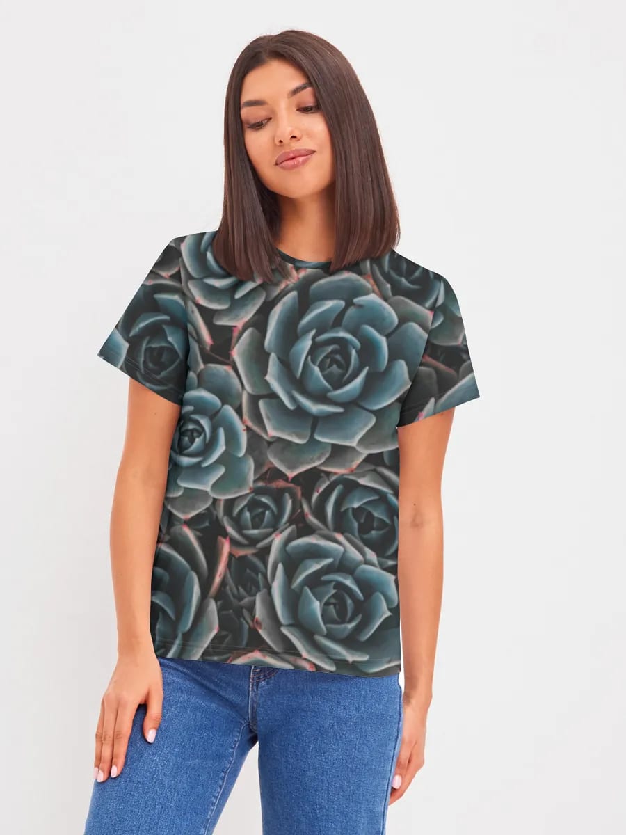 Succulentes bleues d'ambiance