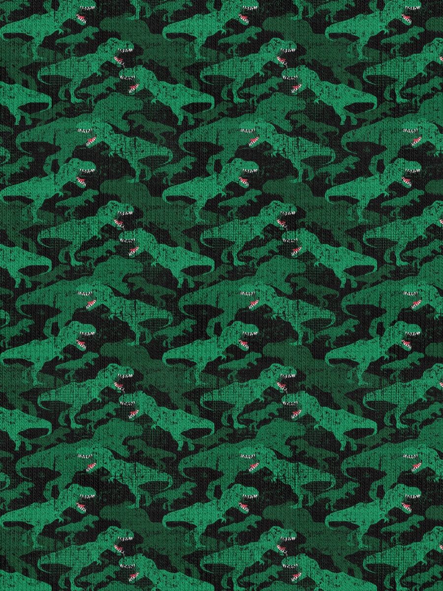 Dinosaur T-Shirts