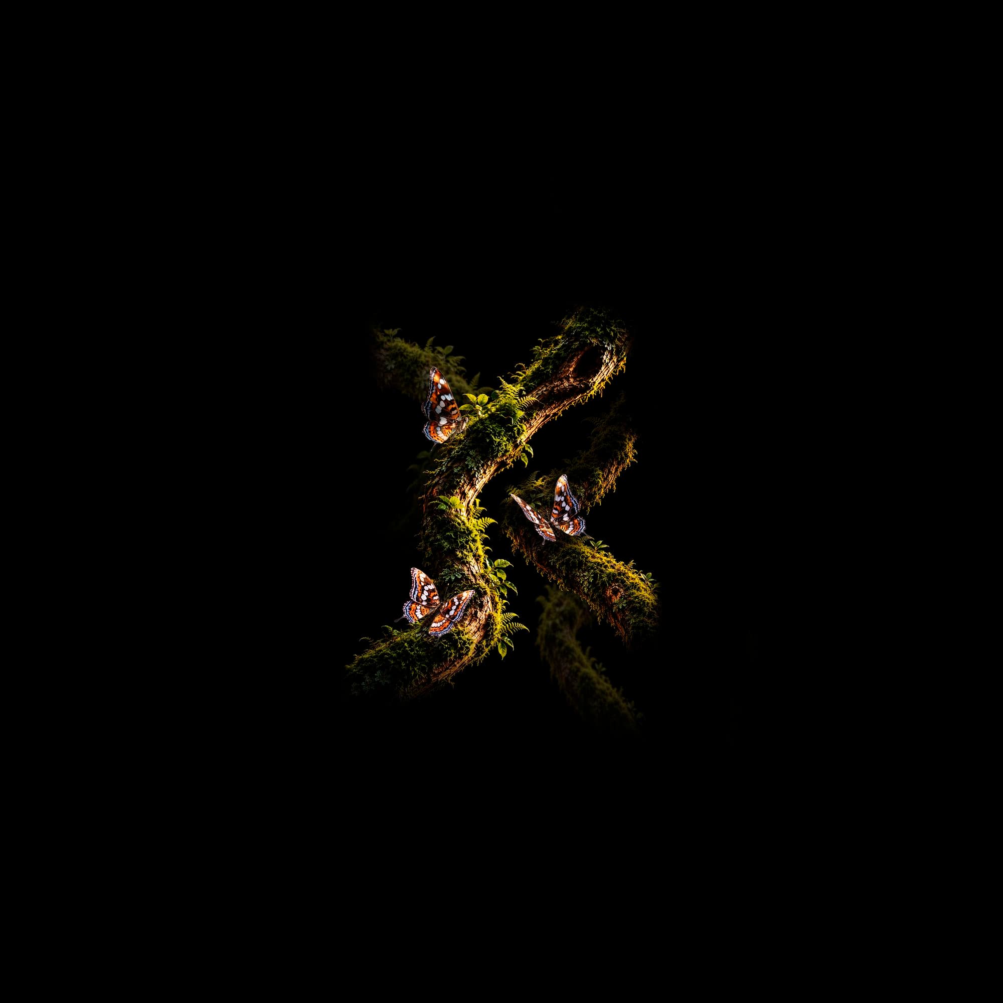 Dark Botanical T-Shirts