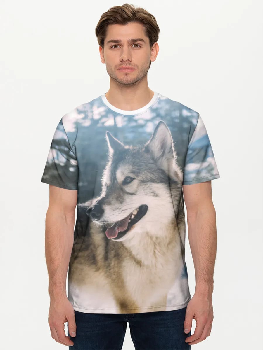 Loup dans les Montagnes Hivernales